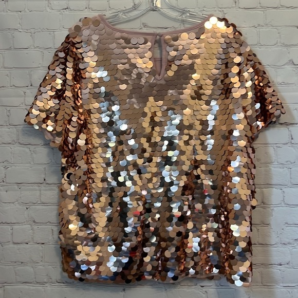 Eva Franco for Anthropologie Oversized Sequin Top - Picture 7 of 16